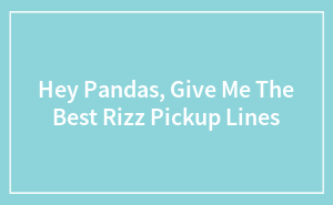 Hey Pandas, Give Me The Best Rizz Pickup Lines (Closed)