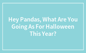 Hey Pandas, What Are You Going As For Halloween This Year?
